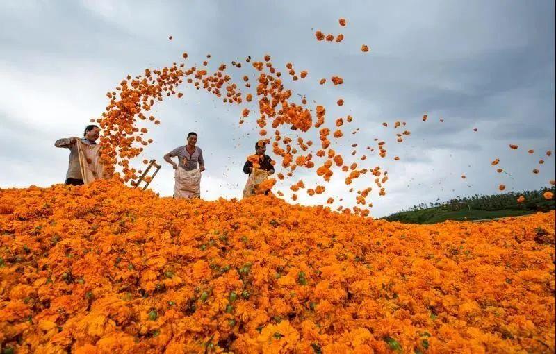 U��U�ֹ��ʡ�(�й���)�ٷ���վ