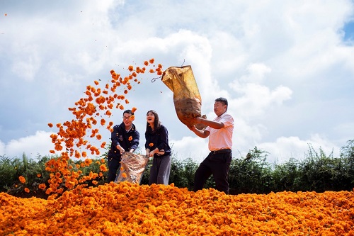 U��U�ֹ��ʡ�(�й���)�ٷ���վ