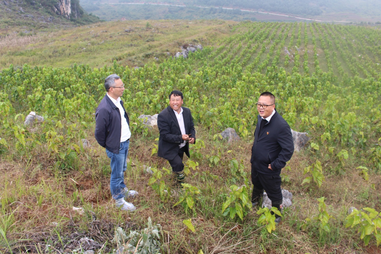 UÀÖUÀÖ¹ú¼Ê¡¤(ÖйúÓÎ)¹Ù·½ÍøÕ¾