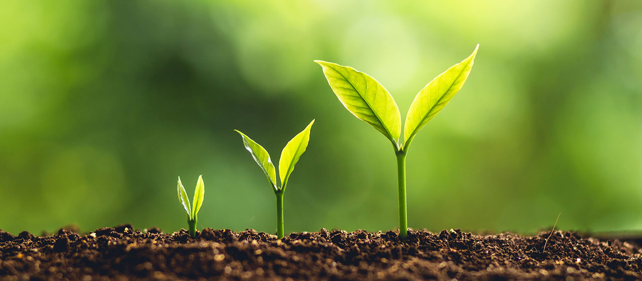 U��U�ֹ��ʡ�(�й���)�ٷ���վ